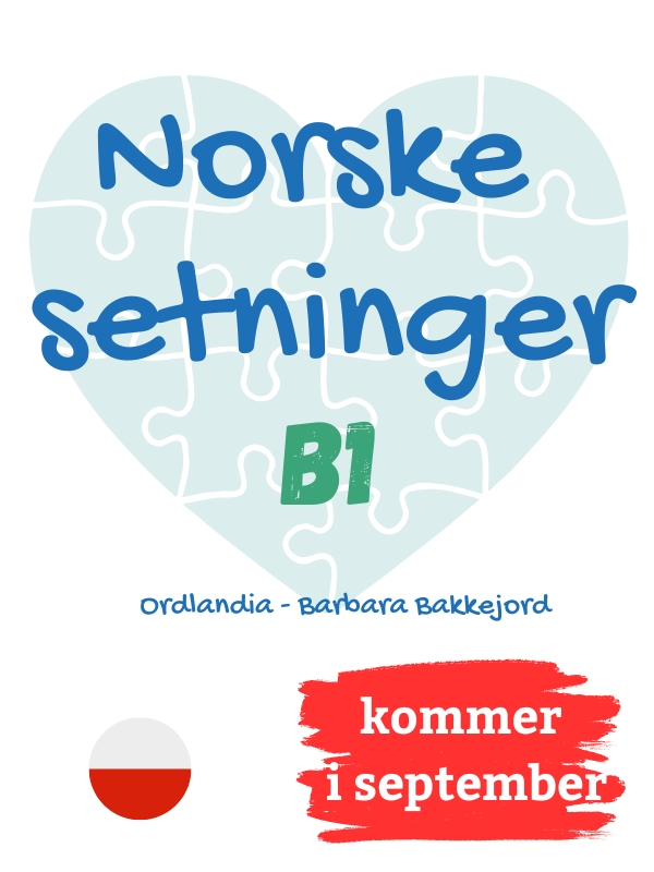 Produkt-bilde av  Norske setninger B1
